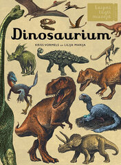 Tere tulemast muuseumisse: dinosaurus hind ja info | Entsüklopeediad, teatmeteosed | kaup24.ee