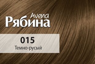 Kreemjas juuksevärv Acme Color Rebina Avena Nr.015 tume blond цена и информация | Краска для волос | kaup24.ee