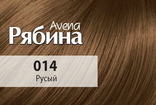 Kreemjas juuksevärv Acme Color Rebina No. 014 Light brown hind ja info | Juuksevärvid | kaup24.ee