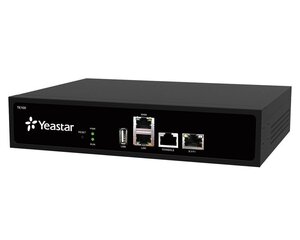 Yeaster Neogate TE100 VoIP lüüs hind ja info | Valvekaamerad | kaup24.ee