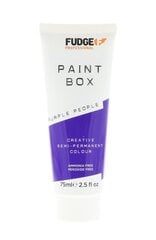 Poolpüsiv juuksevärv Fudge Paintbox Creative Semi-Permanent Colour Purple People, 75ml hind ja info | Juuksevärvid | kaup24.ee