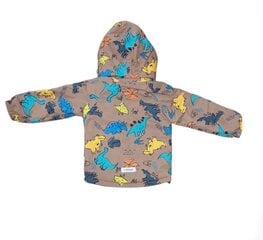 Комплект куртка + штаны для мальчика Lassye. B31-015 цена и информация | Комплекты для мальчиков | kaup24.ee
