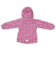 Демисезонный комплект куртка + штаны для девочек Lassye. B21-011. цена и информация | Комплекты для девочек | kaup24.ee