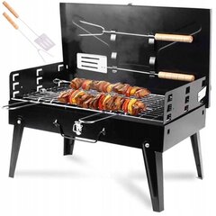 Fluxar kaasaskantav grill 25 x 42 cm hind ja info | Grillid | kaup24.ee