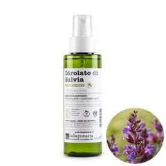 Salvei hüdrolaat Salvia Officinalis BIO, 100 ml hind ja info | Eeterlikud ja kosmeetilised õlid | kaup24.ee