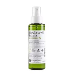 Salvei hüdrolaat Salvia Officinalis BIO, 100 ml hind ja info | Eeterlikud ja kosmeetilised õlid | kaup24.ee