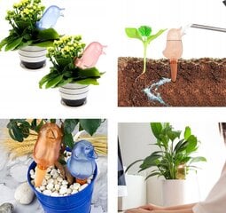 Niisutaja taimepottidesse, 3 tk hind ja info | Hooldusvahendid taimedele | kaup24.ee