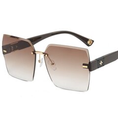 Солнцезащитные очки женские, коричневые цена и информация | Женские солнцезащитные очки | kaup24.ee