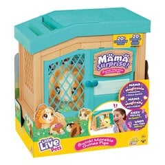 Merisiga Little Live Pets, sinine hind ja info | Tüdrukute mänguasjad | kaup24.ee