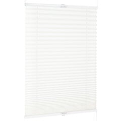 Plisseeruloo Bojanek Easyfix Pro, 39x160 cm цена и информация | Рулонные шторы | kaup24.ee