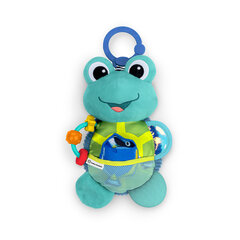Baby Eintein Sensory mänguasi, kilpkonn koos ripatsiga Sensory Sidekick™ Neptune™ 0m+ hind ja info | Imikute mänguasjad | kaup24.ee