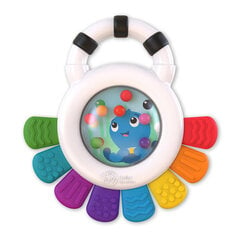 Baby Einstein Sensorinis kramtukas Outstanding Opus™ 3m+ цена и информация | Игрушки для малышей | kaup24.ee