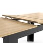 Laud Aatrium Craft, 160x90x77 cm, pruun hind ja info | Köögi- ja söögilauad | kaup24.ee