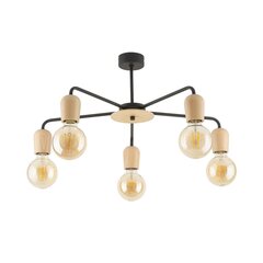 TK Lighting подвесной светильник Miriami цена и информация | Потолочный светильник, 38 x 38 x 24 см | kaup24.ee