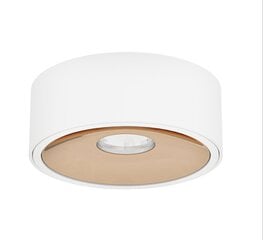 Orlicki Design integreeritav LED valgusti Neo hind ja info | Süvistatavad ja LED valgustid | kaup24.ee