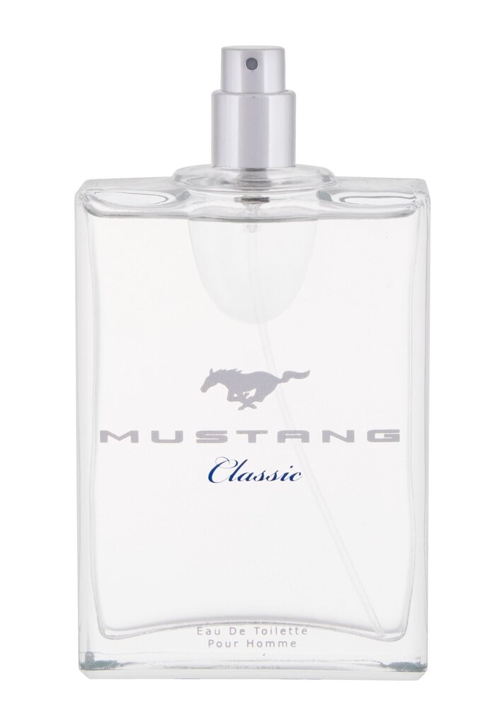Tualettvesi Ford Mustang Classic EDT meestele, 100 ml hind ja info | Meeste parfüümid | kaup24.ee