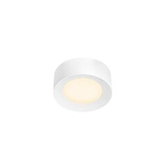 SLV потолочный светильник Fera 25 Dali цена и информация | Потолочные светильники | kaup24.ee