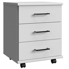 Ящик Aatrium Home Desk, 46x40x58 см, белый цвет цена и информация | Компьютерные, письменные столы | kaup24.ee
