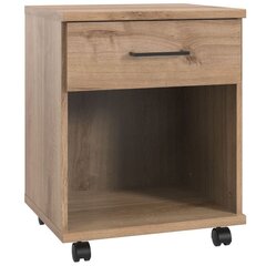 Ящик Aatrium Home Desk, 46x40x58 см, коричневый цвет цена и информация | Компьютерные, письменные столы | kaup24.ee