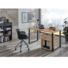 Ящик Aatrium Home Desk, 46x40x58 см, коричневый цвет цена и информация | Компьютерные, письменные столы | kaup24.ee