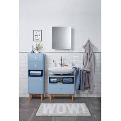 Шкаф под раковину Tenzo Color Bath, синий цвет цена и информация | Шкафчики для ванной | kaup24.ee