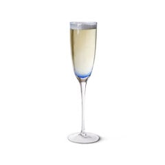 Fissman šampanja klaasid, 240 ml hind ja info | Klaasid, tassid ja kannud | kaup24.ee