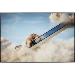 Maal raamis Elephant In The Sky, 150x100cm hind ja info | Seinapildid | kaup24.ee