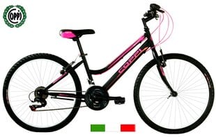 JAUNTY 24 LADY цена и информация | Велосипеды | kaup24.ee