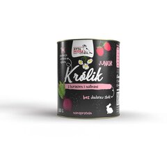 Sita Micha kutsikatele küüliku, peedi ja vaarikatega, 800 g цена и информация | Консервы для собак | kaup24.ee