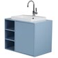 Vannitoakapp koos valamuga Tenzo Color Bath, 80x50x62 cm, sinine цена и информация | Vannitoakapid | kaup24.ee