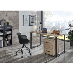 Ящик Aatrium Home Desk, 46x40x58 см, коричневый цвет цена и информация | Компьютерные, письменные столы | kaup24.ee