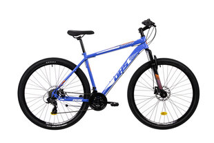 Jalgratas DHS 2905, 29", sinine, 503mm hind ja info | DHS Sport, puhkus, matkamine | kaup24.ee