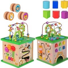 Обучающий кубик-лабиринт, Tooky Toy цена и информация | Игрушки для малышей | kaup24.ee