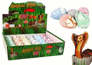 Kasvav muna, 5 cm hind ja info | Arendavad mänguasjad | kaup24.ee
