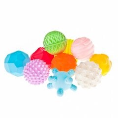 сенсорные шарики цена и информация | Игрушки для малышей | kaup24.ee