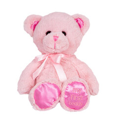 плюшевый мишка, 40 см, розовый цена и информация | Мягкие игрушки | kaup24.ee
