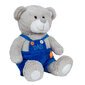 Pehme karu 31 cm, hall hind ja info | Pehmed mänguasjad | kaup24.ee