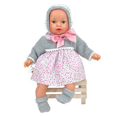 Doll Nines d'Onil Alex Liberty, 40 cm hind ja info | Tüdrukute mänguasjad | kaup24.ee