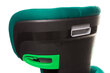 4Baby turvatool, 15-36 kg, roheline hind ja info | Turvatoolid | kaup24.ee