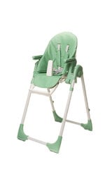 детский стульчик, зеленый цена и информация | Стульчики для кормления | kaup24.ee