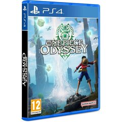 One Piece Odyssey цена и информация | Компьютерные игры | kaup24.ee