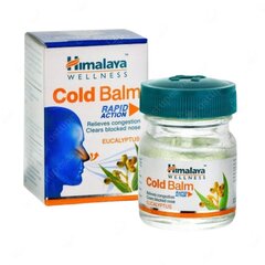 Salv külmetushaiguste vastu Himalaya Cold Balm, 2 x 10 g hind ja info | Vitamiinid, toidulisandid, preparaadid tervise heaoluks | kaup24.ee