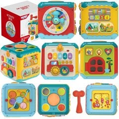 многоцелевой куб - ящик для занятий 6 в 1 цена и информация | Игрушки для малышей | kaup24.ee