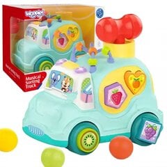 Muusikaline sorteerija Woopie Car, sinine hind ja info | Imikute mänguasjad | kaup24.ee