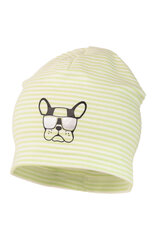 Однослойная трикотажная хлопковая шапочка для мальчиков Jamiks, JWC173, зелёная цена и информация | Шапки, перчатки, шарфы для мальчиков | kaup24.ee