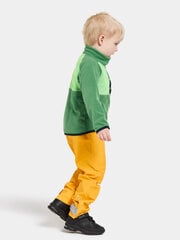 Didriksons laste fliis dressipluus Monte Half Button 3, roheline hind ja info | Poiste kampsunid, vestid ja jakid | kaup24.ee