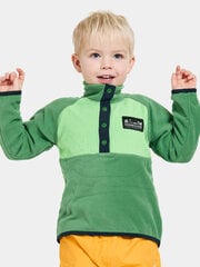 Didriksons laste fliis dressipluus Monte Half Button 3, roheline цена и информация | Свитеры, жилетки, пиджаки для мальчиков | kaup24.ee