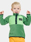 Didriksons laste fliis dressipluus Monte Half Button 3, roheline цена и информация | Poiste kampsunid, vestid ja jakid | kaup24.ee