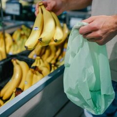 Biobag puuviljakott sangadega, 300 tk rullis цена и информация | Мусорные мешки | kaup24.ee