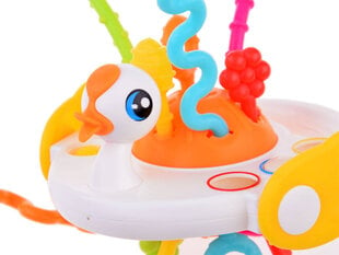 Sensoorsed rattarattad luiked hind ja info | Imikute mänguasjad | kaup24.ee